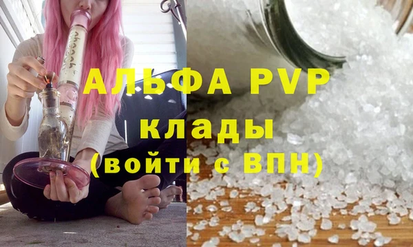 гашик Покачи