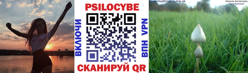как найти закладки  Омутнинск  Псилоцибиновые грибы Magic Shrooms 